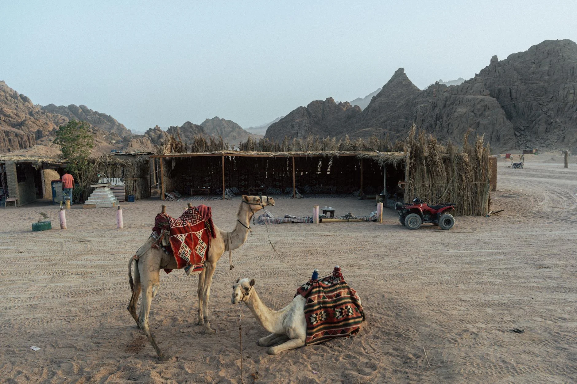 Egypt's Border Drills: Treaty-Compliant Exercise or Political Signal?